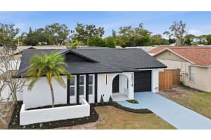 2014 SAN SEBASTIAN WAY, CLEARWATER, FL 33763 - MLS#MFRTB8463901