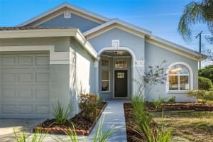 19905 WYNDMILL CIRCLE, ODESSA, FL 33556 - MLS#MFRTB8463907