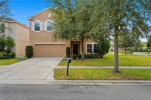 20203 AUTUMN FERN AVENUE, TAMPA, FL 33647 - MLS#MFRTB8463940