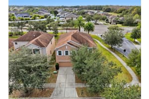 20203 AUTUMN FERN AVENUE, TAMPA, FL 33647 - MLS#MFRTB8463940