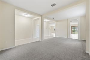 20203 AUTUMN FERN AVENUE, TAMPA, FL 33647 - MLS#MFRTB8463940