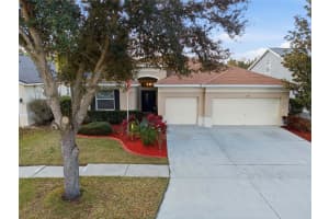 11414 BRIDGE PINE DRIVE, RIVERVIEW, FL 33569 - MLS#MFRTB8463942
