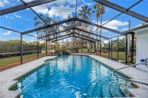 8436 RIDGEBROOK CIRCLE, ODESSA, FL 33556 - MLS#MFRTB8463944