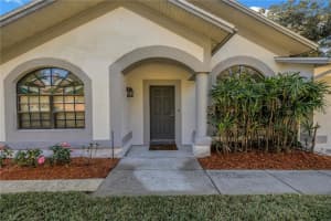 8436 RIDGEBROOK CIRCLE, ODESSA, FL 33556 - MLS#MFRTB8463944