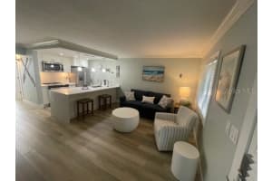 225 104TH AVENUE, TREASURE ISLAND, FL 33706 - MLS#MFRTB8463958