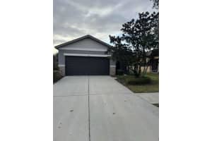 4517 PAPER MULBERRY PLACE, RIVERVIEW, FL 33578 - MLS#MFRTB8463962