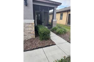 4517 PAPER MULBERRY PLACE, RIVERVIEW, FL 33578 - MLS#MFRTB8463962