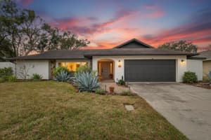 13206 Tifton Dr, TAMPA