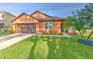 7352 BRIDGEVIEW DRIVE, ZEPHYRHILLS, FL 33545 - MLS#MFRTB8464032