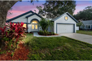 15905 Wainwright Ct, TAMPA