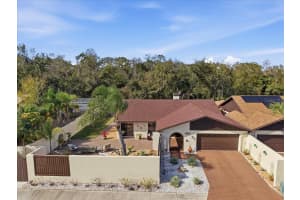 13608 AVISTA DRIVE, TAMPA, FL 33624 - MLS#MFRTB8464059