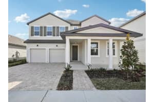 22137 Amberbush Court, MOUNT DORA