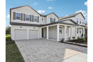 22137 AMBERBUSH COURT, MOUNT DORA, FL 32757 - MLS#MFRTB8464068