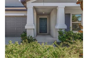 16612 CARLTON POND STREET, WIMAUMA, FL 33598 - MLS#MFRTB8464074