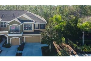 12507 SILVERDALE STREET, TAMPA, FL 33626 - MLS#MFRTB8464076