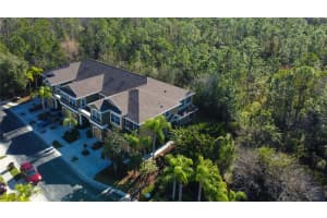 12507 SILVERDALE STREET, TAMPA, FL 33626 - MLS#MFRTB8464076