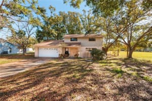 8613 Hulsey Rd, TAMPA 8613 Hulsey Rd, TAMPA