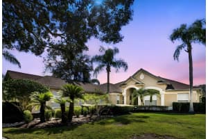 19103 CENTRE ROSE BOULEVARD, LUTZ, FL 33558 - MLS#MFRTB8464103