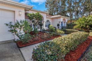 1518 FISHING LAKE DRIVE, ODESSA, FL 33556 - MLS#MFRTB8464108