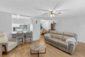 11920 DIETZ DRIVE, TAMPA, FL 33626 - MLS#MFRTB8464158