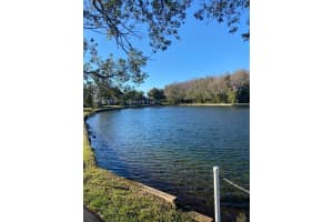 1333 SHADY PINE WAY, TARPON SPRINGS, FL 34688 - MLS#MFRTB8464204