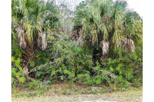 12885 86TH STREET, FELLSMERE, FL 32948 - MLS#MFRTB8464220