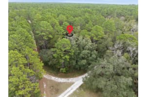 SW 36TH LOOP, DUNNELLON, FL 34432 - MLS#MFRTB8464224