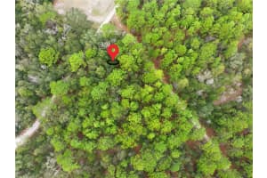 SW 36TH LOOP, DUNNELLON, FL 34432 - MLS#MFRTB8464224