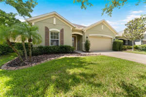 2849 MAPLE BROOK LOOP, LUTZ, FL 33558 - MLS#MFRTB8464230