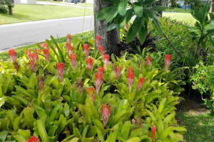 12731 106TH STREET, LARGO, FL 33773 - MLS#MFRTB8464274