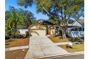 13420 SUNVALE PLACE, TAMPA, FL 33626 - MLS#MFRTB8464278