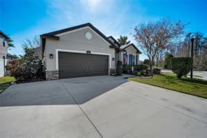 1437 HALAPA WAY, TRINITY, FL 34655 - MLS#MFRTB8464281