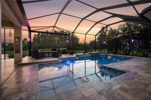 2611 COCO PALM CIRCLE, WESLEY CHAPEL, FL 33543 - MLS#MFRTB8464286