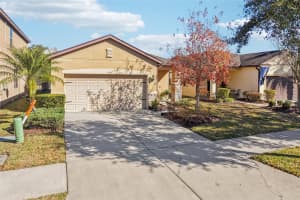 5937 SWEET BIRCH DRIVE, RIVERVIEW, FL 33578 - MLS#MFRTB8464297