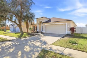 4145 MEDBURY DRIVE, WESLEY CHAPEL, FL 33543 - MLS#MFRTB8464306