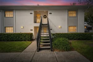 3806 OAK DRIVE, TAMPA, FL 33611 - MLS#MFRTB8464327