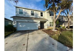 18403 Fish Loop, LAND O LAKES
