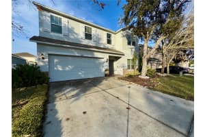 18403 FISH LOOP, LAND O LAKES, FL 34638 - MLS#MFRTB8464340