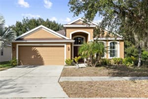 10925 ROCKLEDGE VIEW DRIVE, RIVERVIEW, FL 33579 - MLS#MFRTB8464356