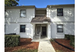 114 MEADOW LANE, OLDSMAR, FL 34677 - MLS#MFRTB8464439