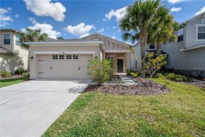 7843 Tuscany Woods Dr, TAMPA