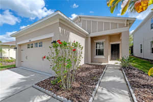 7843 TUSCANY WOODS DRIVE, TAMPA, FL 33647 - MLS#MFRTB8464444