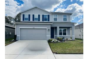 18184 HUNTERS MEADOW WALK, LAND O LAKES, FL 34638 - MLS#MFRTB8464446