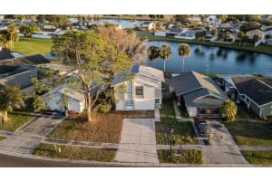 11033 SPRINGRIDGE DRIVE, TAMPA, FL 33624 - MLS#MFRTB8464460