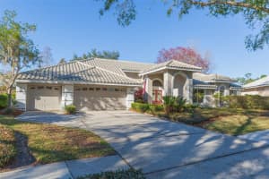 9108 CANBERLEY DRIVE, TAMPA, FL 33647 - MLS#MFRTB8464491