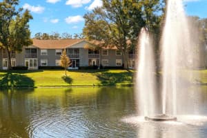 1438 MILLSTREAM LANE, DUNEDIN, FL 34698 - MLS#MFRTB8464497