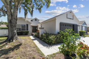 4124 RANDOLPH STREET, NEW PORT RICHEY, FL 34653 - MLS#MFRTB8464508