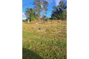 US 19 HWY, HUDSON, FL 34667 - MLS#MFRTB8464509
