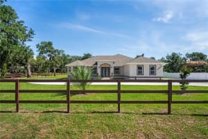 14060 SYDNEY ROAD, DOVER, FL 33527 - MLS#MFRTB8464540