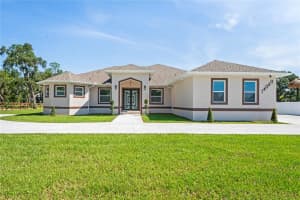 14060 SYDNEY ROAD, DOVER, FL 33527 - MLS#MFRTB8464540